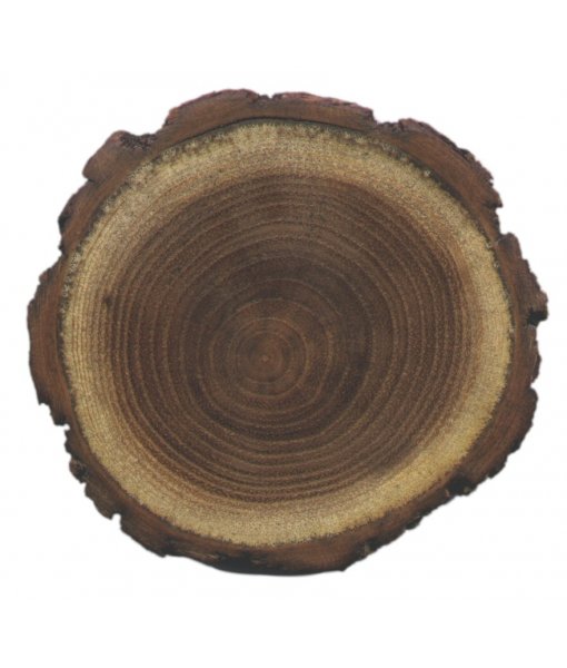 Dřevo akátu